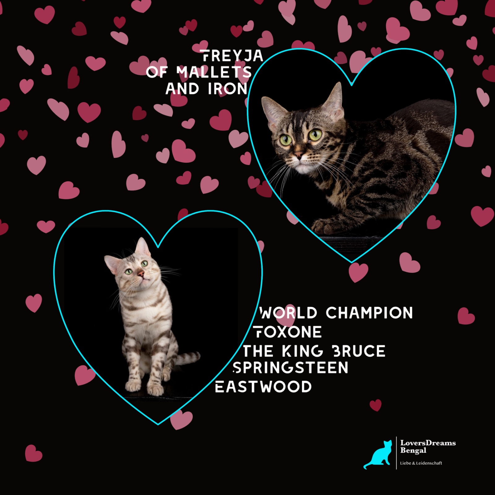 WhatsApp Bild 2025-02-02 um 16.00.41_b6607790